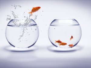 研发管理的标准化与个性化平衡